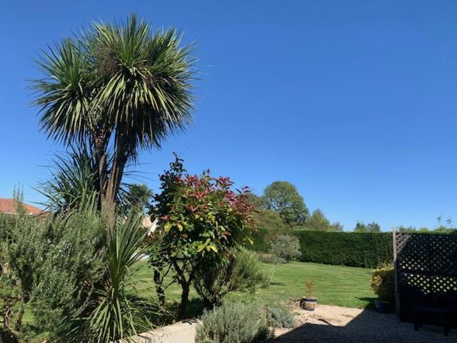 Les Glycines Bed & Breakfast Saint Gaudens Bagian luar foto