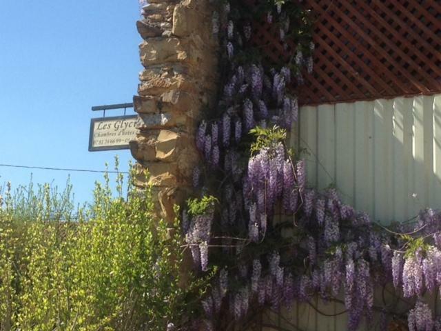 Les Glycines Bed & Breakfast Saint Gaudens Bagian luar foto